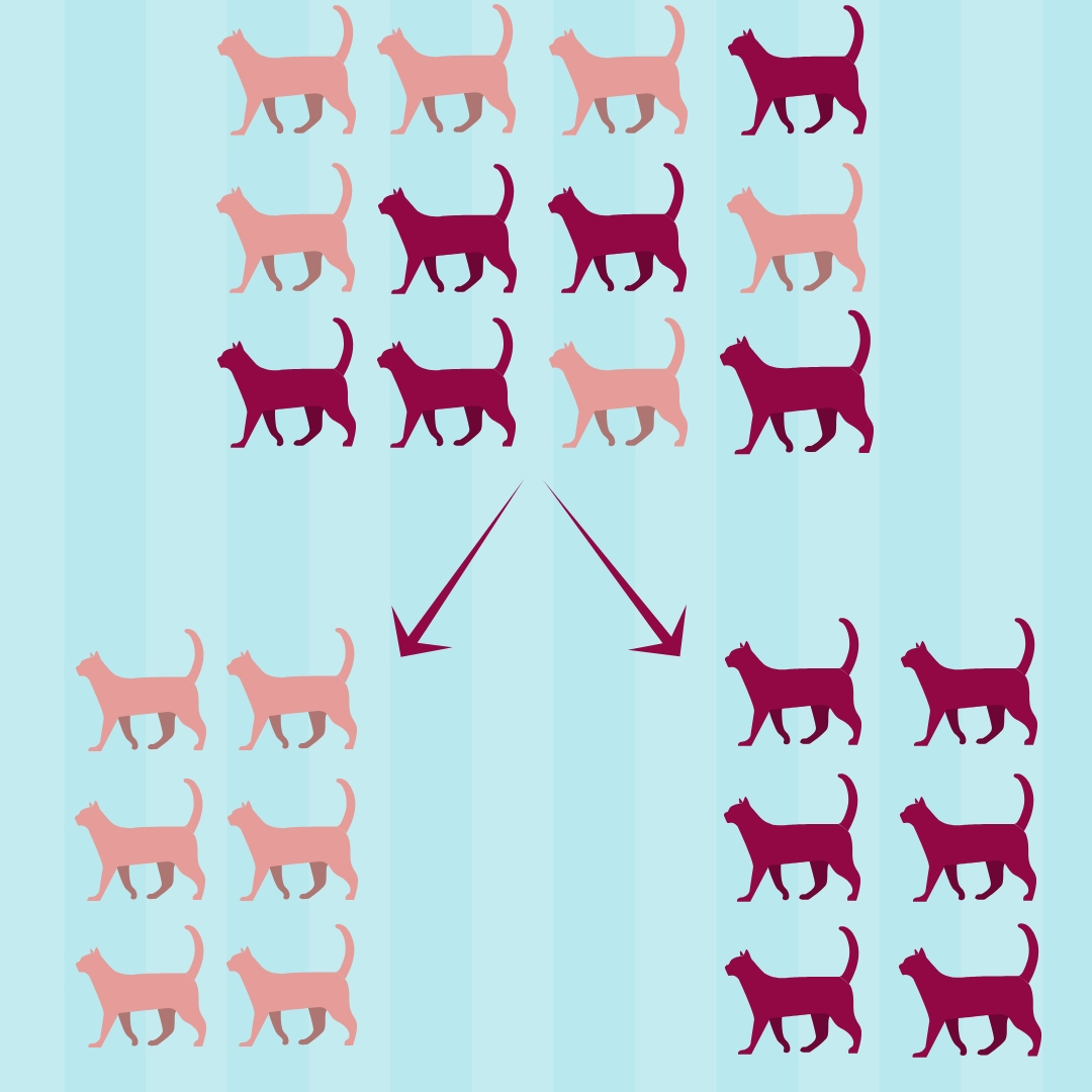 a group of pink and red cat sihlouettes that have been sorted into two categories, one with pink cats and another with red cats